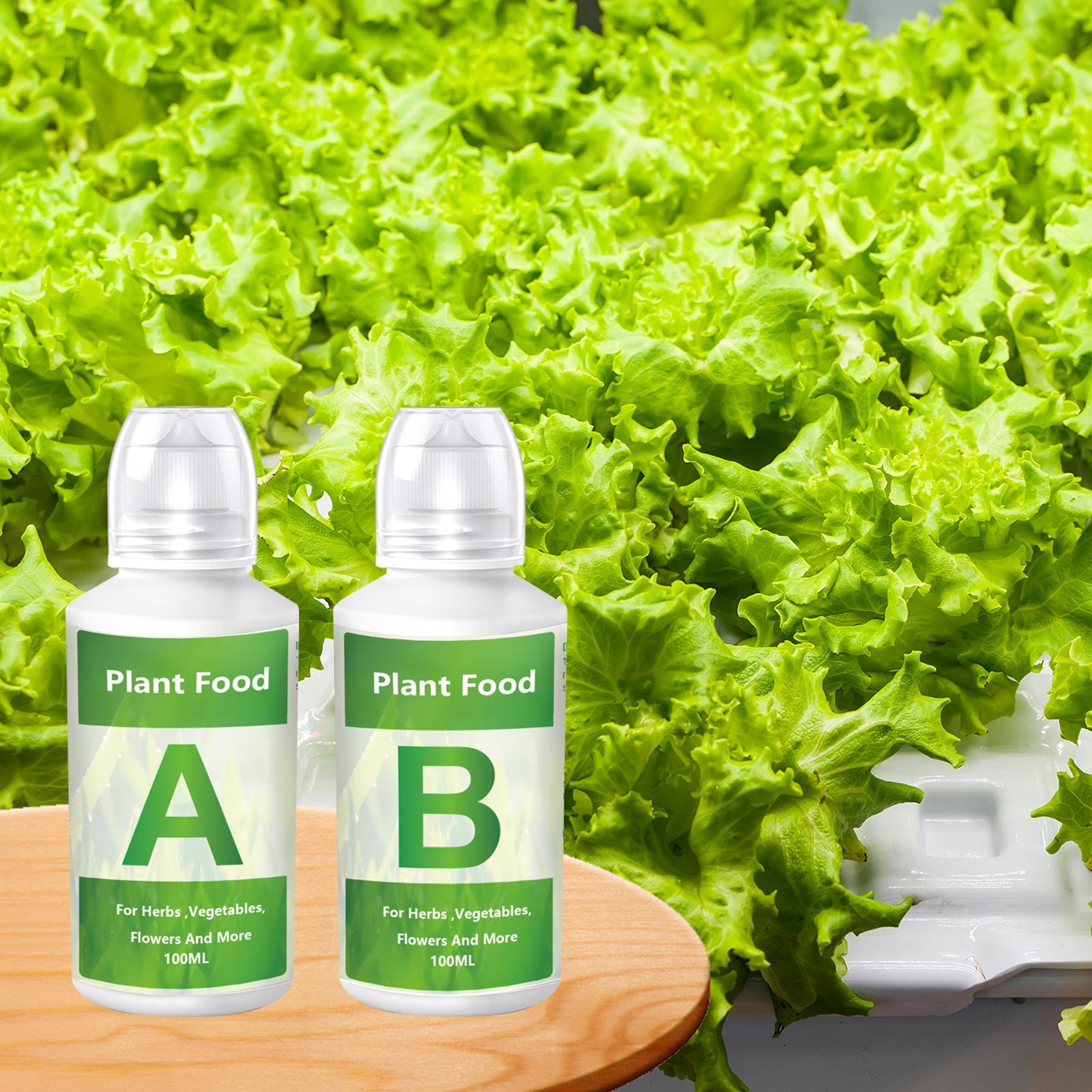 Nutrient Solution Ab - 水耕栽培用栄養剤肥料AB溶液セット 庭の植物に簡単使用で成長促進 花用 無土栽培栄養補助剤