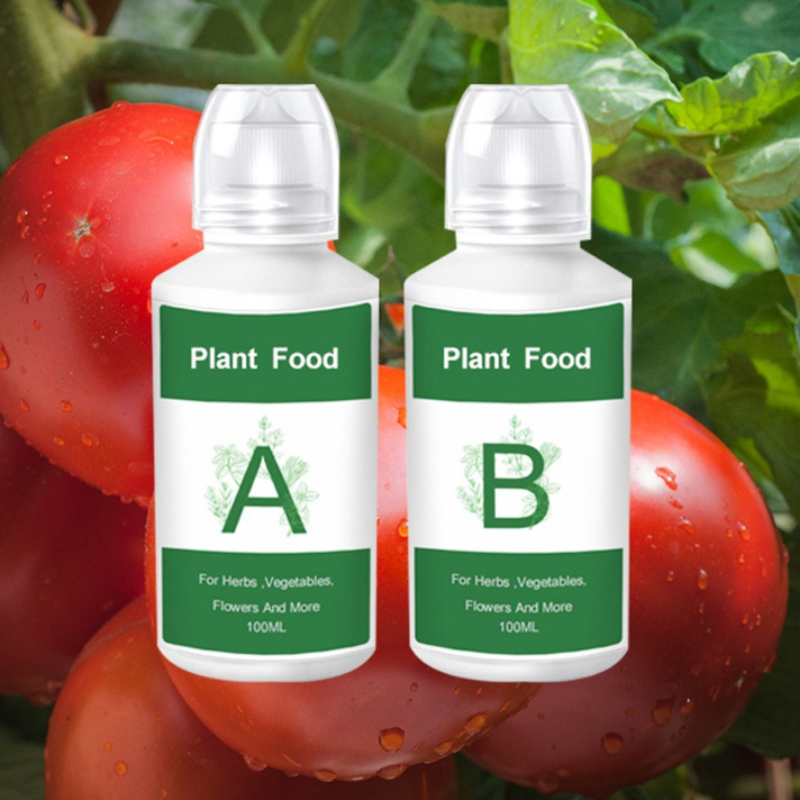 Nutrient Solution Ab - 2個（AとB）水耕栽培養液AB固形粒状肥料水溶性無土壌栽培植物栄養素