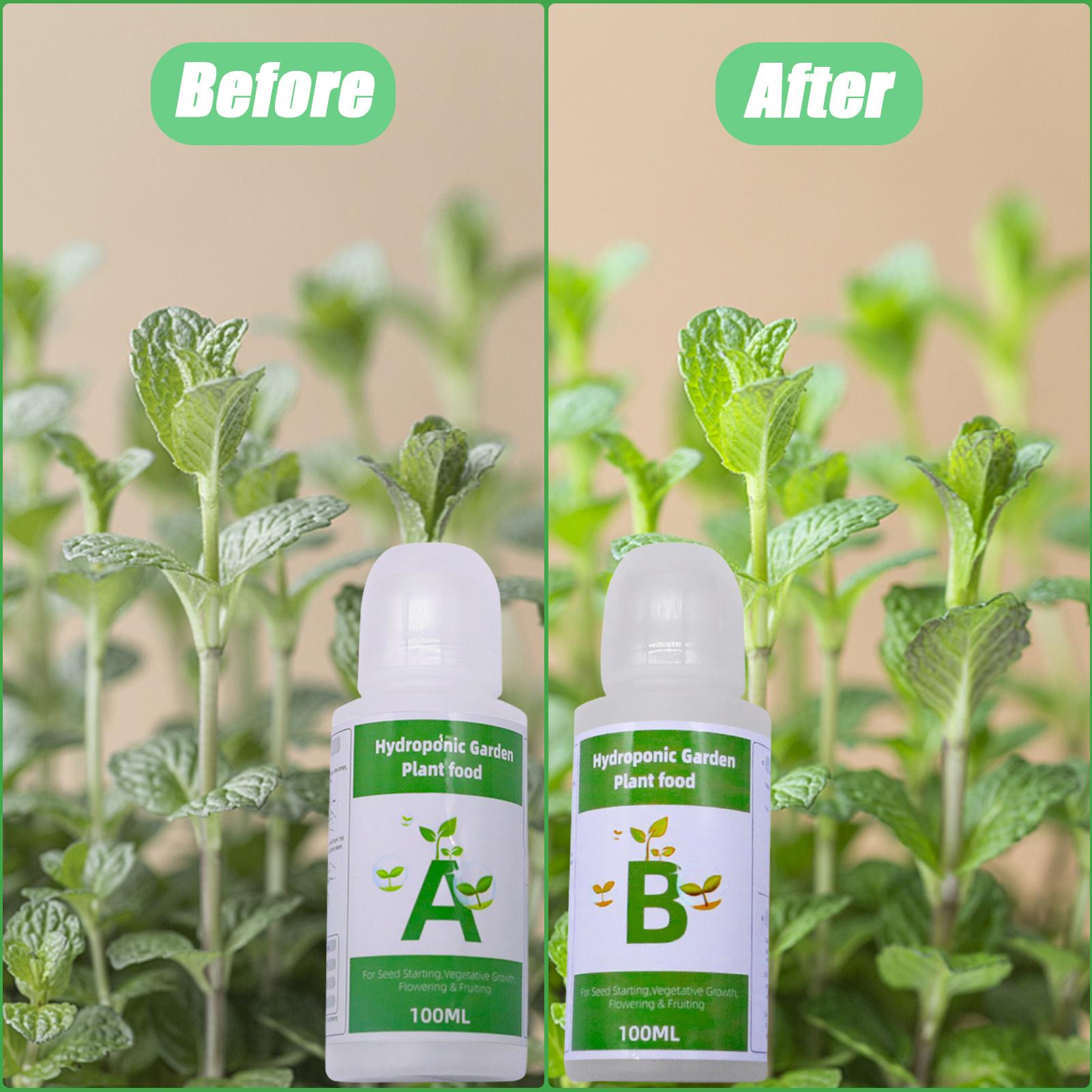 水耕栽培用栄養素肥料 AB ソリューションセット 水耕栽培用 - Nutrient Solution Ab のレビューと価格
