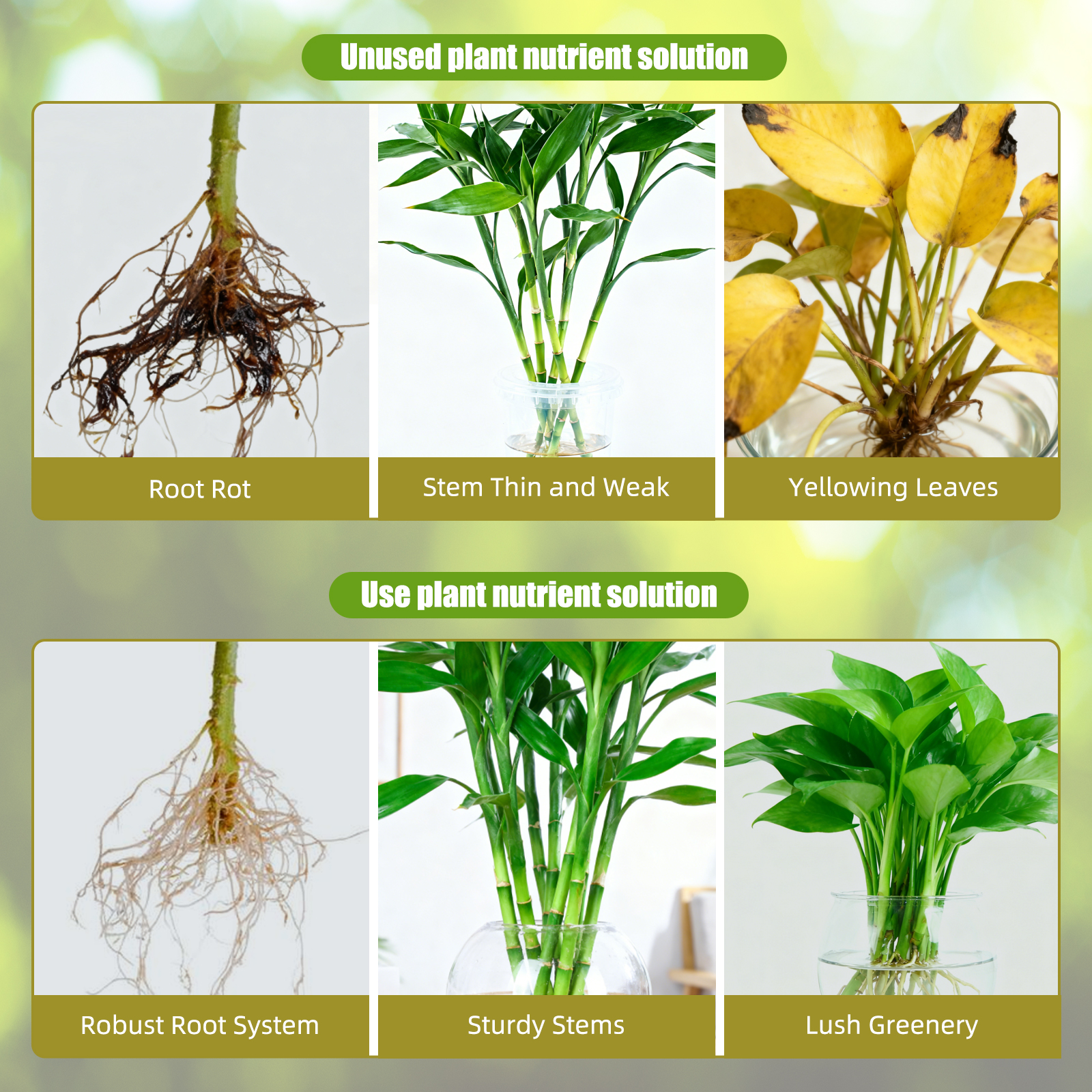 水耕栽培養液A B 植物成長液肥料、栄養生長期の水耕栽培植物 - Nutrient Solution Ab のレビューと価格