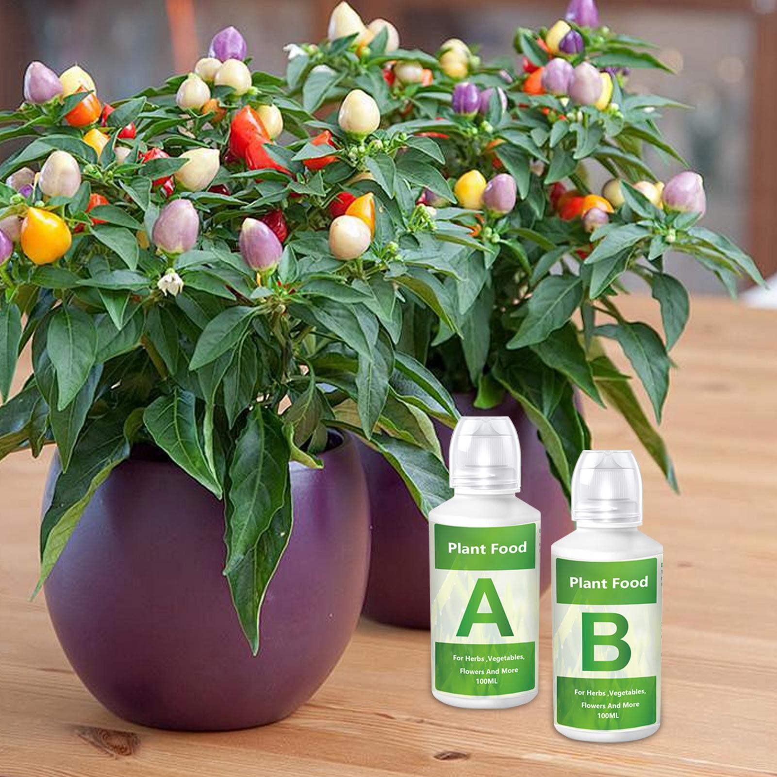 水耕栽培用栄養剤肥料AB溶液セット 水耕栽培用植物栄養剤 庭 - Nutrient Solution Ab のレビューと価格